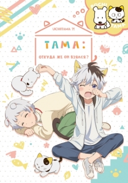 :    ?  / Uchi Tama?! Uchi no Tama Shirimasen ka? anime